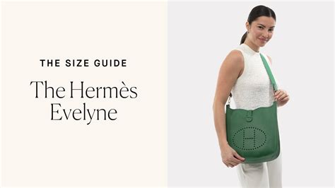 most popular size for evelyne.